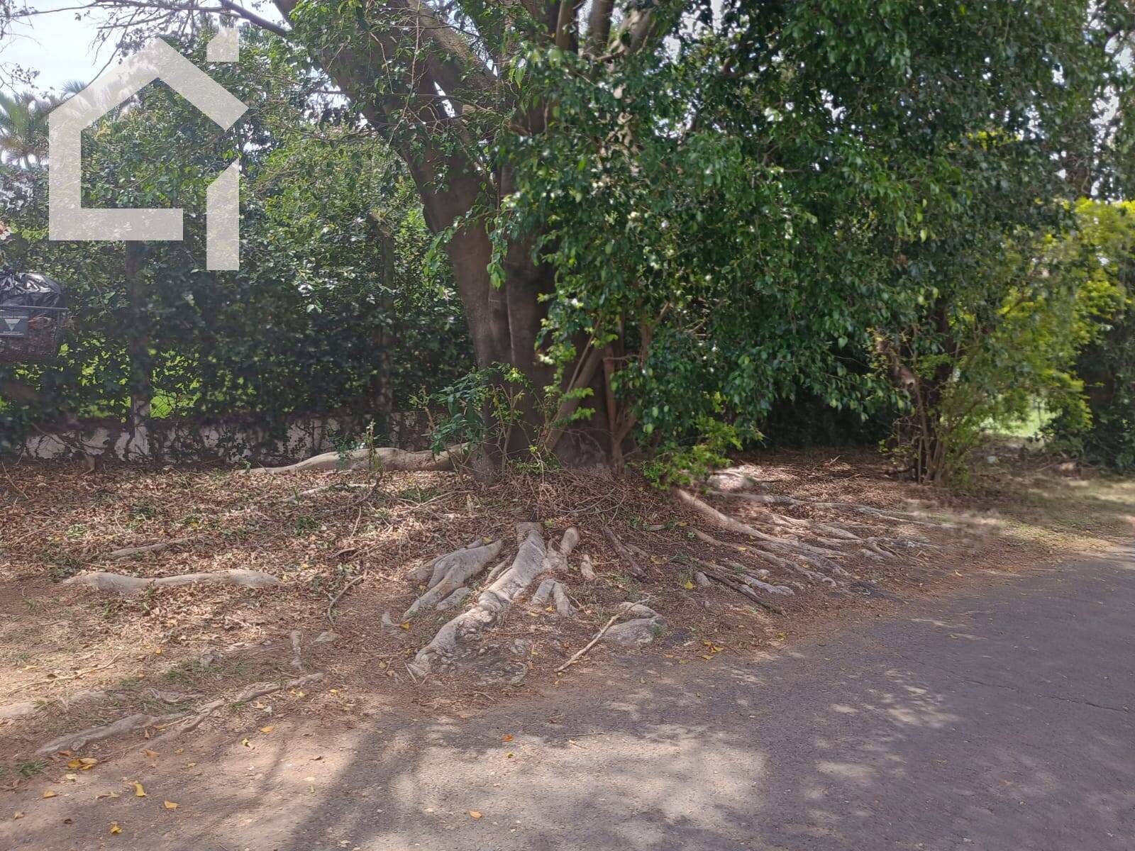 Casa, 3 quartos, 193 m² - Foto 11