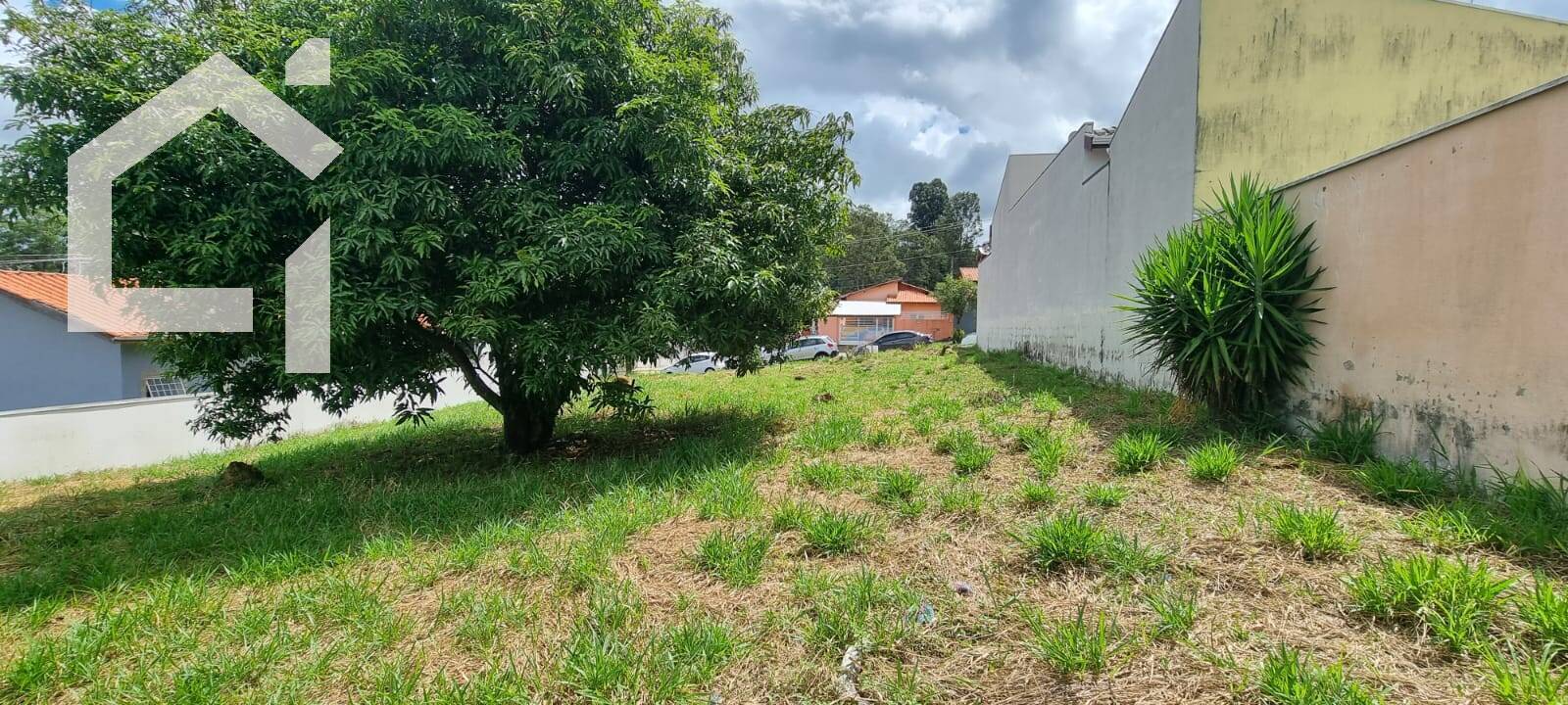Terreno, 3 hectares - Foto 4