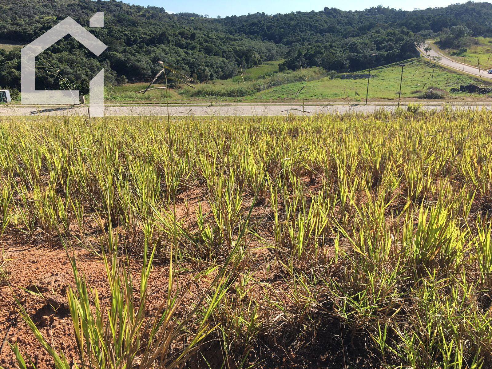 Terreno, 800 m² - Foto 5