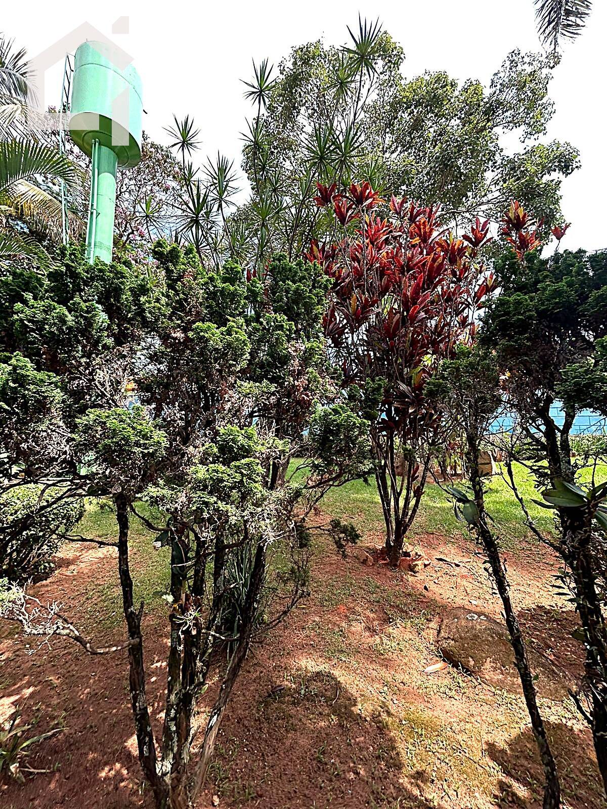 Casa, 4 quartos, 500 m² - Foto 36