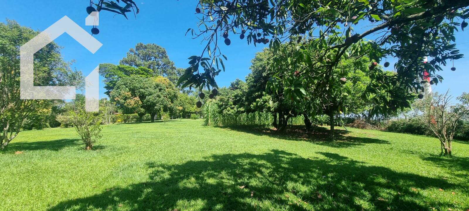 Casa, 2 quartos, 55 m² - Foto 3