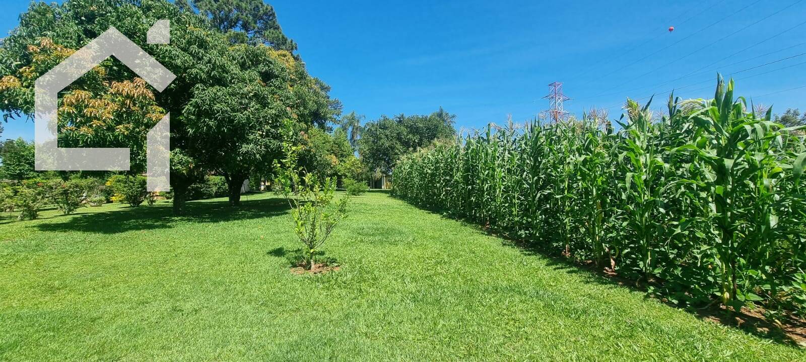 Casa, 2 quartos, 55 m² - Foto 6