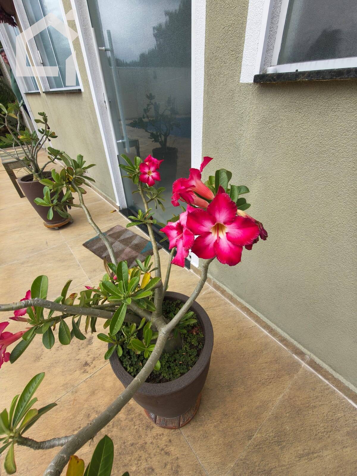 Casa, 3 quartos, 450 m² - Foto 12