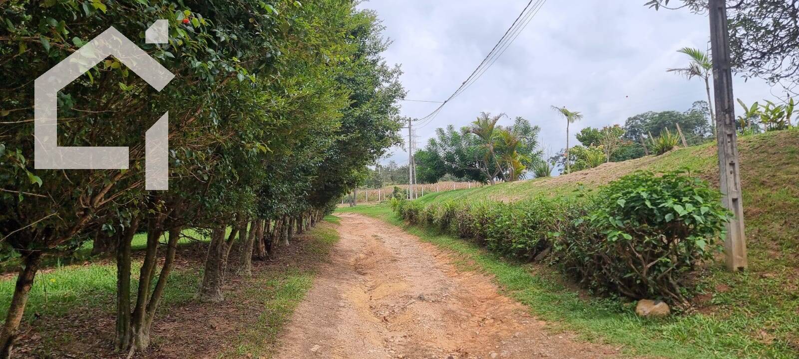 Casa, 3 quartos, 450 m² - Foto 28