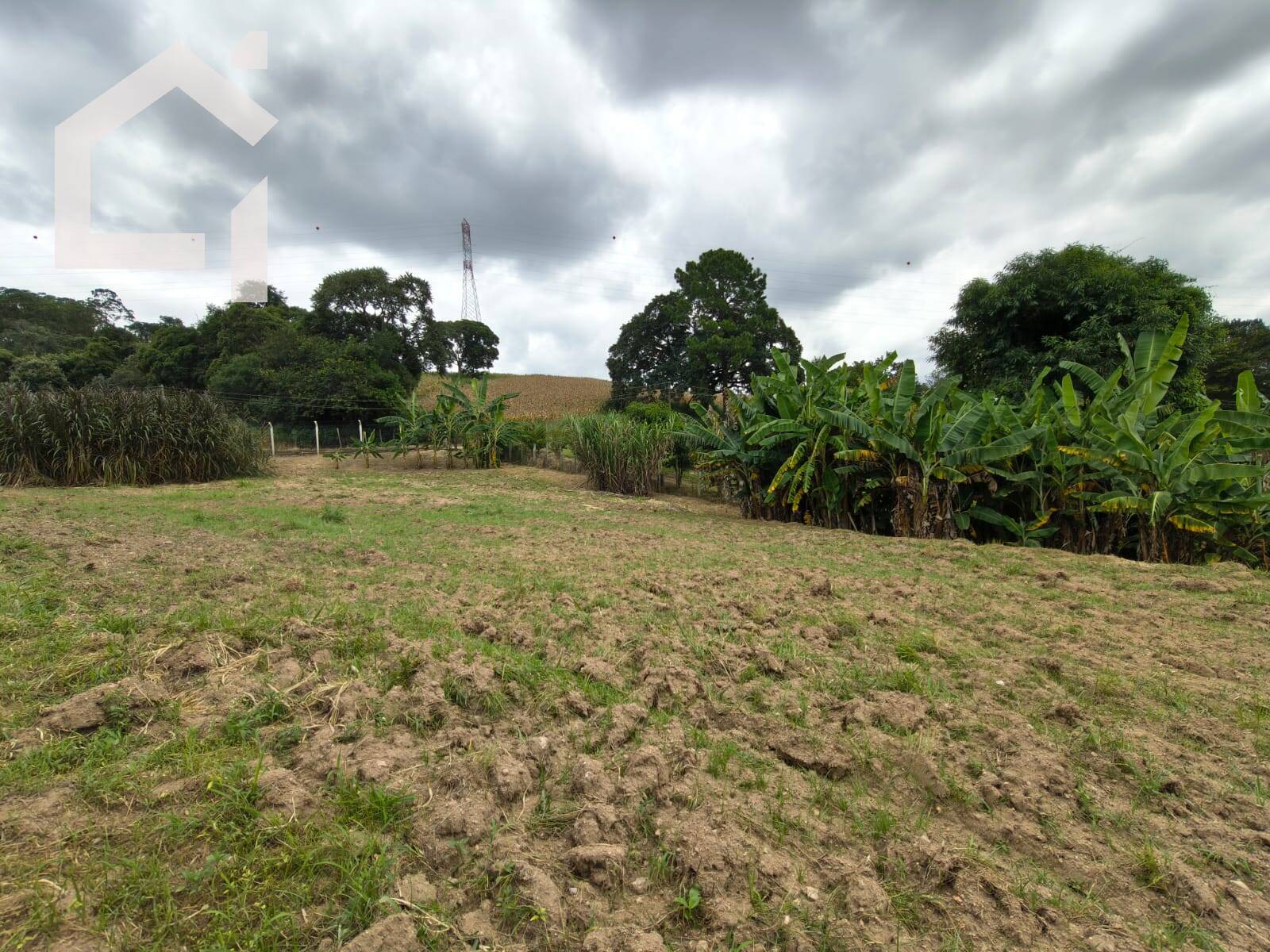 Casa, 3 quartos, 450 m² - Foto 75