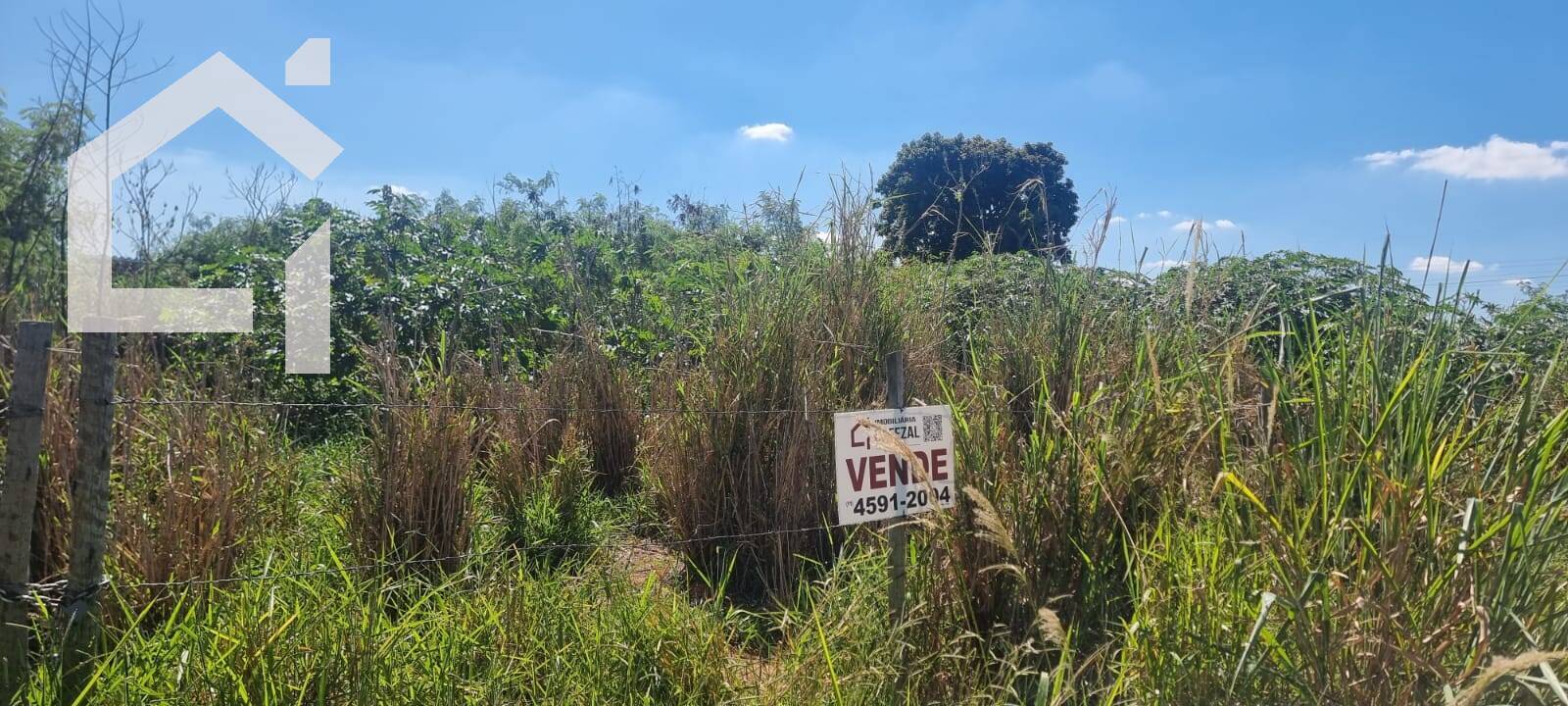 Terreno, 1137 m² - Foto 6