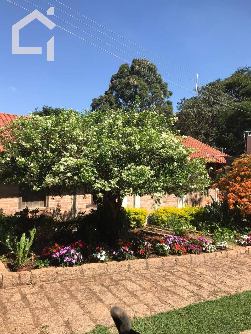 Casa - Foto 37
