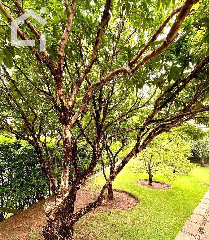 Casa, 3 quartos, 354 m² - Foto 12