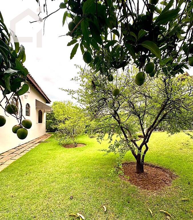 Casa, 3 quartos, 354 m² - Foto 13