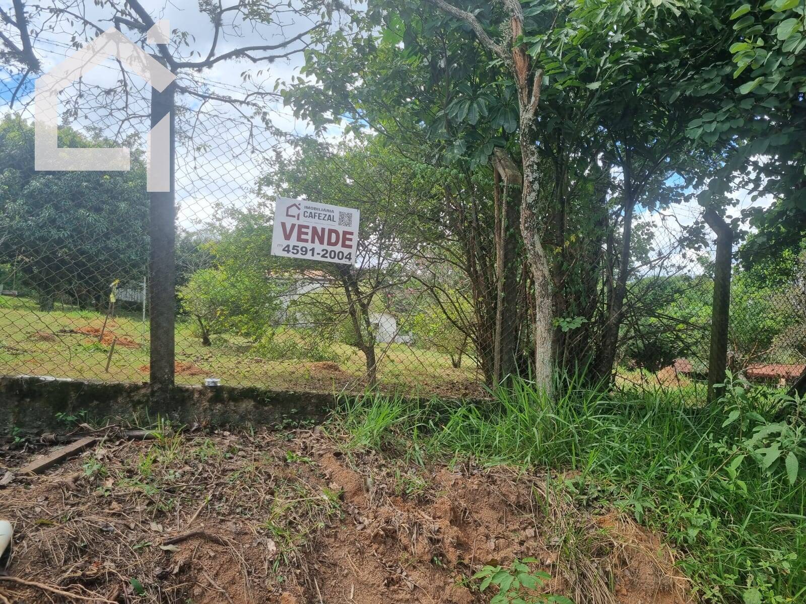 Terreno - Foto 1