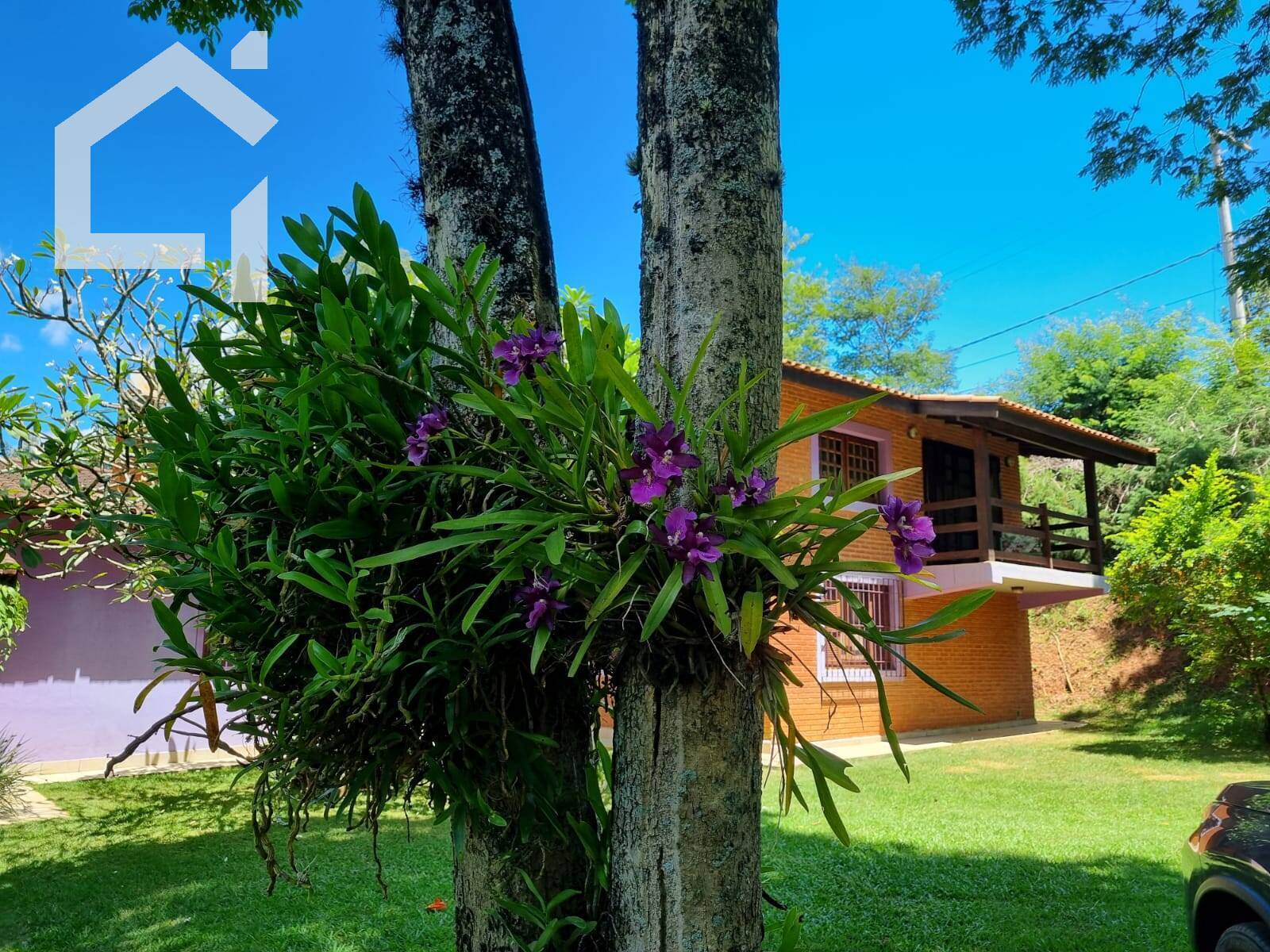 Casa, 4 quartos, 610 m² - Foto 5