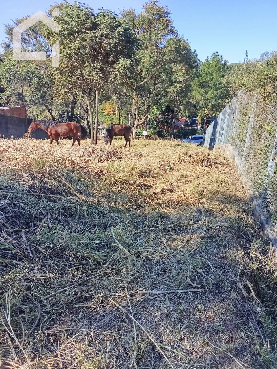 Casa - Foto 4